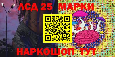 ешки Ставрополь