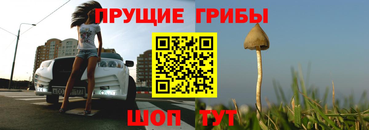 Галлюциногенные грибы прущие грибы  даркнет сайт  Вход с VPN  Гагарин  Галлюциногенные грибы мицелий 